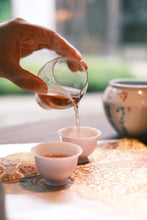 Load image into Gallery viewer, Time Forged Lao Cong, Plum Aroma Merged with Cliff Rhythm – 2020 Baoguoyan Lao Cong Mei Zhan