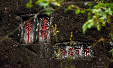 Load image into Gallery viewer, 2023 Niu Lan Keng Rou Gui/牛栏坑肉桂。