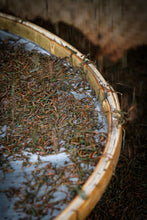 Load image into Gallery viewer, Tongxin She Teahouse Launches New Wuyi Tongmuguan "Peach-Flavored Black Tea"蜜桃红茶