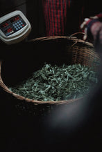 Load image into Gallery viewer, The Beauty of Simplicity and Tranquility in Feizixiao —— Tongxin She Teahouse's Newly Launched 2025 Tongmuguan Black Tea Feizixiao