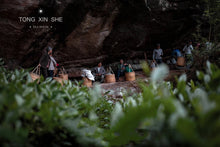 Load image into Gallery viewer, Caoxianxian Rougui: A Hidden Gem from Niu Lan Keng, Handcrafted by Intangible Cultural Heritage Master Wang Guo Xing