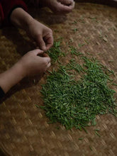 Load image into Gallery viewer, 2025 Wuyishan Tongmu Guan Floral Jinjunmei Black Tea Arrives at Tongxinshe Teahouse! Inviting You to Taste the Essence of Black Tea