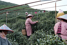 Load image into Gallery viewer, Tongxin She Teahouse: Tracing the Source of Premium West Lake Longjing Tea, Customizing the Supreme Flavor of Spring Tea