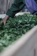 Load image into Gallery viewer, The 19th Black Tea Competition of Wuyishan Tea Bureau/First Prize "Wilderness Da Chi Gan"