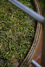 Load image into Gallery viewer, 2023 Oolong Tea "Phoenix Dancong/Milan Xiang"