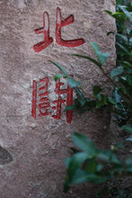 Load image into Gallery viewer, Tongxinshe Teahouse Premium Selection He Gangyan Tea Factory · Matou Rock Beidou:The Rare Delicacy of Authentic Wuyi Famous Bush Tea
