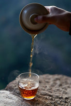 Load image into Gallery viewer, Tongxinshe Teahouse New Launch | Wugui Peak Orchid-Fragrance High-Clump Shui Xian Limited-Time Free Tasting 乌龟岩高枞水仙