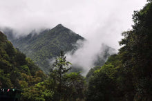 Load image into Gallery viewer, The 19th Black Tea Competition of Wuyishan Tea Bureau,First Prize "Xiao Chi Gan"