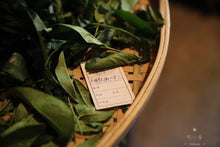 Load image into Gallery viewer, 2023 Niu Lan Keng Rou Gui/牛栏坑肉桂。