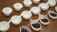 Load image into Gallery viewer, Taste the Rare "Yu Qi Lin" and Enjoy the Charm of Wuyi Tea