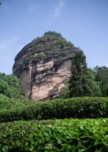 Load image into Gallery viewer, Tongxinshe Teahouse Limited Release | Explore the Century-Old Charm of Wuyi Rock Tea "White Peony" from Matouyan Shuidongkou 水洞口白牡丹