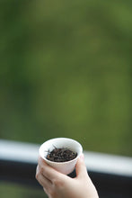 Load image into Gallery viewer, "Ancient Tree Old Song Zhong"