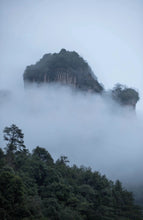 Load image into Gallery viewer, Wuyi rock tea Zheng Yan Rou Gui "Shan Jian Liu Xiang"正岩肉桂山涧留香。