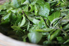 Load image into Gallery viewer, The wild charm of the mountains at the top of Xishuangbanna—Single Pu'er sheng tea from the ancient tree Huazhuliangzi/滑竹梁子古树单株.