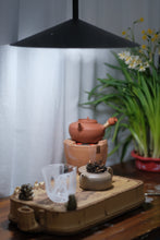 Load image into Gallery viewer, Explore the Taste of Pu'er Sheng Tea and Encounter the Old Comrade Red Sun Tea Cake