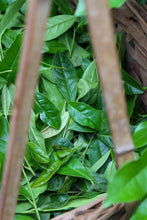 Load image into Gallery viewer, "Niu Lan Keng Qi Zhong" handmade by Mr. Wang Guoxing, the inheritor of the production skills of Wuyi Rock Tea (Da Hong Pao), the first batch of national intangible cultural heritage in Wuyishan City. Each can has Mr. Wang Guoxing's signature, which is of