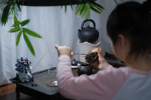 Load image into Gallery viewer, "Ancient tree Tuberose Fragrance dancong oolong".古树夜来香/Gu Shu Ye Lai Xiang.