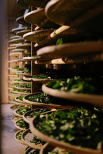 Load image into Gallery viewer, 2024 Tao Xi Da Hong Pao (Peach Fragrance Da Hong Pao)桃喜大红袍。