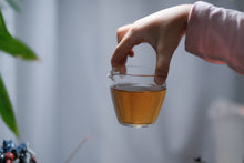 Load image into Gallery viewer, "Ancient tree Tuberose Fragrance dancong oolong".古树夜来香/Gu Shu Ye Lai Xiang.