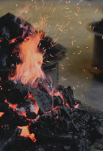 Load image into Gallery viewer, “SNOW FLAKES Duck Shit ”Phoenix Dan Cong oolong/“雪片鸭屎香”