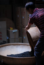 Load image into Gallery viewer, 2024 Wuyi Mountain Rock Tea - Su Xin Lan: The Elegant and Graceful Charm within the Rock-Bone and Floral Fragrance