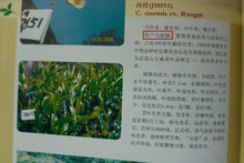 Load image into Gallery viewer, 2024 Ma Zhenfeng Rougui: The Exquisite New Arrival at Tongxin She Teahouse