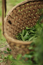 Load image into Gallery viewer, Exploring the Secret of Wuyi: Tongxinshe Teahouse Recommends the Niche Treasure "Lotus Peak Huang Qi"莲花峰黄奇