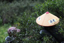 Load image into Gallery viewer, Tongxinshe's first black tea in 2025 is amazing! Tongmuguan Flower Fragrance Black Tea invites you to taste the century-old tea fragrance