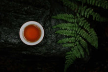 Load image into Gallery viewer, 2020 Traditional Wuyi Rock Tea "Wu Yuan Jian Rou Gui"