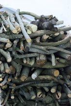 Load image into Gallery viewer, Tongxin She Teahouse: In Search of the Vanishing Biluochun