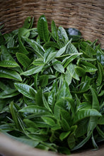 Load image into Gallery viewer, "2024 Bangdong·Barren Mountain Ancient Tree Pu'er Sheng Tea"邦东·荒山古树普洱生茶.