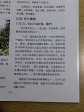 Load image into Gallery viewer, Tongxinshe Teahouse Recommendation: 2025 Da'an Ancient Tree Baxian, Savor the Orchid Elegance of "Perfume in Tea"