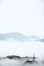 Load image into Gallery viewer, 2024 WuDong Da'an LaoCong Mi Lan Xiang /大庵老枞蜜兰香.