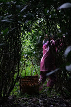 Load image into Gallery viewer, Mantuo Peak Lao Cong Shuixian: The Mellow Charm of Years in Rock Bones and Flower Fragrance