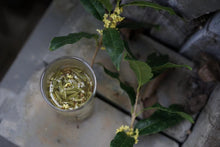 Load image into Gallery viewer, Autumn limited edition "Special Osmanthus Longjing Tea"