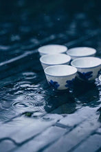 Load image into Gallery viewer, Exquisite Tea Ware: Jingdezhen Handmade Blue and White "Hundred Treasures" Cup