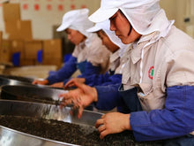 Load image into Gallery viewer, 2003 high-grade Tuocha (Shu Puer) from China Tea