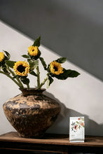 Load image into Gallery viewer, Tongxin She Launches 2026 Tongmuguan Fei Zi Xiao Black Tea from Wuyi Mountain, Fujian