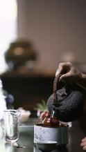 Load image into Gallery viewer, The Charm of Aged Liu Bao Tea: The 1992 Vintage