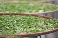 Load image into Gallery viewer, Honey Orchid Fragrance Wraps Winter Warmth | Tongxin She 2025 Phoenix Dancong Christmas Limited Gift Box, Presenting the Heartfelt Gift of Time-Honored Tea 蜜兰香