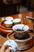 Load image into Gallery viewer, 2020 Wuyi Rock Tea "Yu Hua Dong Lao Cong Shui Xian"