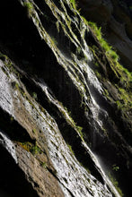 Load image into Gallery viewer, Tongxin She Teahouse | Moss Traces & Spring Dew · Tianxin Rock Shi Ru/天心岩石乳。