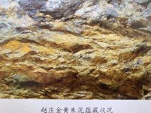 Load image into Gallery viewer, Exquisite Recommendation of Tongxin She Teahouse —— Begonia Red Qin Quan Teapot