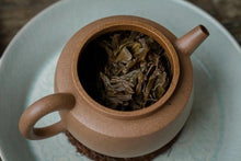 Load image into Gallery viewer, Menghai Tea Factory Dayi 701 Hongzhuang Raw Pu'er Tea: The Flavor and Value of Years of Aging