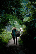 Load image into Gallery viewer, Tongxinshe Teahouse in 2025 is "Buzhichun from Panlongyan" (limited free experience package/8.4g).不知春