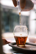 Load image into Gallery viewer, Time Forged Lao Cong, Plum Aroma Merged with Cliff Rhythm – 2020 Baoguoyan Lao Cong Mei Zhan