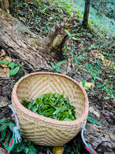 Load image into Gallery viewer, Tongxin She Teahouse's Treasured Recommendation: 2017 Naka Ancient Tree Single-Plant Raw Pu'er Tea