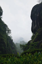 Load image into Gallery viewer, Taste the Rare "Yu Qi Lin" and Enjoy the Charm of Wuyi Tea