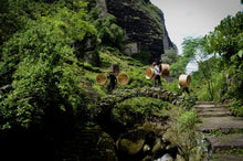 Load image into Gallery viewer, 2024 The Yanyun Qilan: The Tea Aroma and Elegance Condensed by Time