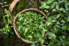 Load image into Gallery viewer, 2024 Discovering the Allure of Beidou: A Hidden Gem in Wuyi Rock Tea